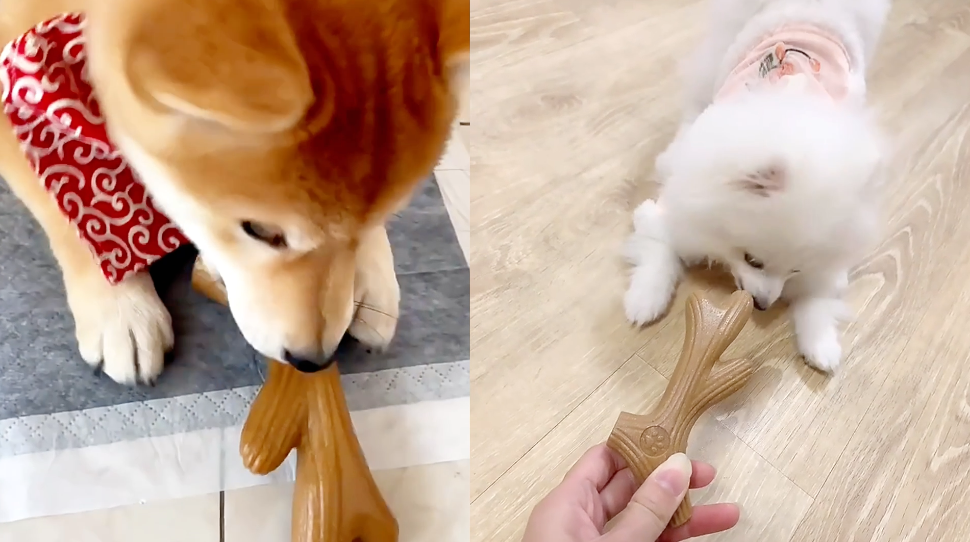 Amazon | VISKS 犬のおもちゃ 松繊維製で耐久性 鹿の角型犬用噛み
