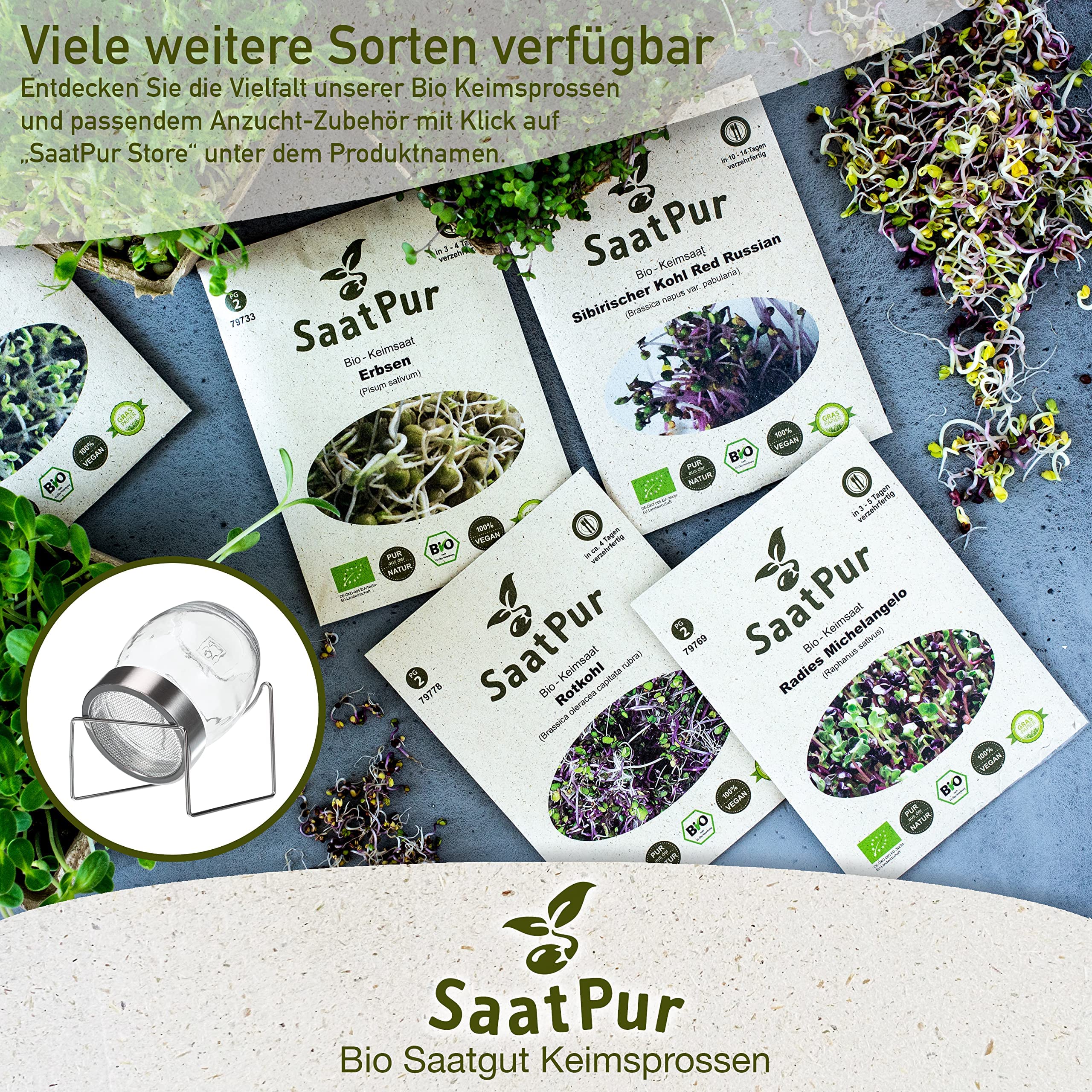 Mungbohnen BIO Keimsprossen SaatPur - Mungo Sprossen Keimsaat, Microgreen - Großes Tray mit 40 Portionstüten je 75g
