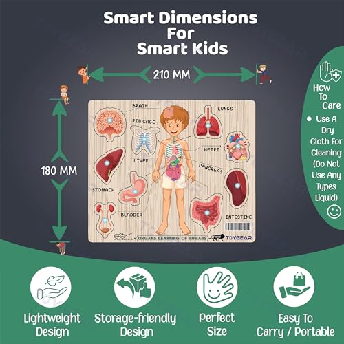 Image of Boysbodyparts Eco Friendly Materials Wooden Learning Toys Puzzle for Brain Training /jorky Cutting Puzzle for Home /School /Non-Toxic /Education Memory Games for Baby Boy and Girl