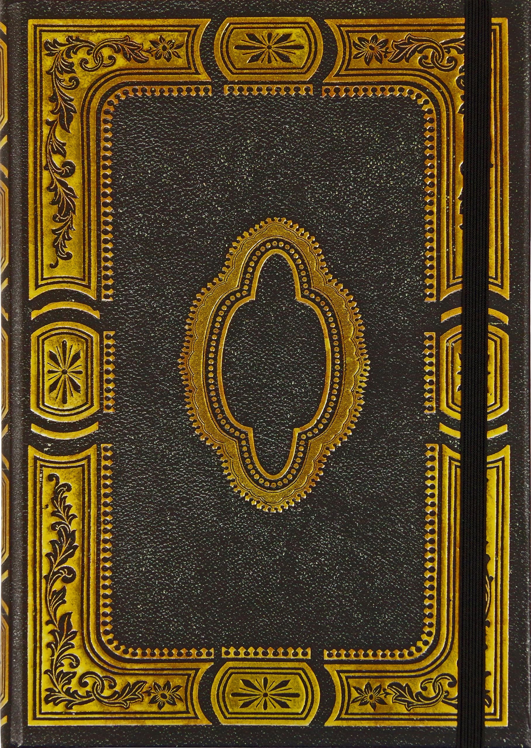 Gilded Onyx Journal (Diary, Notebook), Iridescent