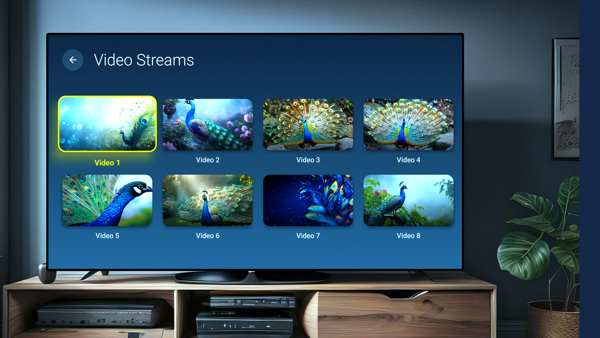 Peacock Feathers Sensory Therapy, Vibrant Colors Screensaver & Mood ...