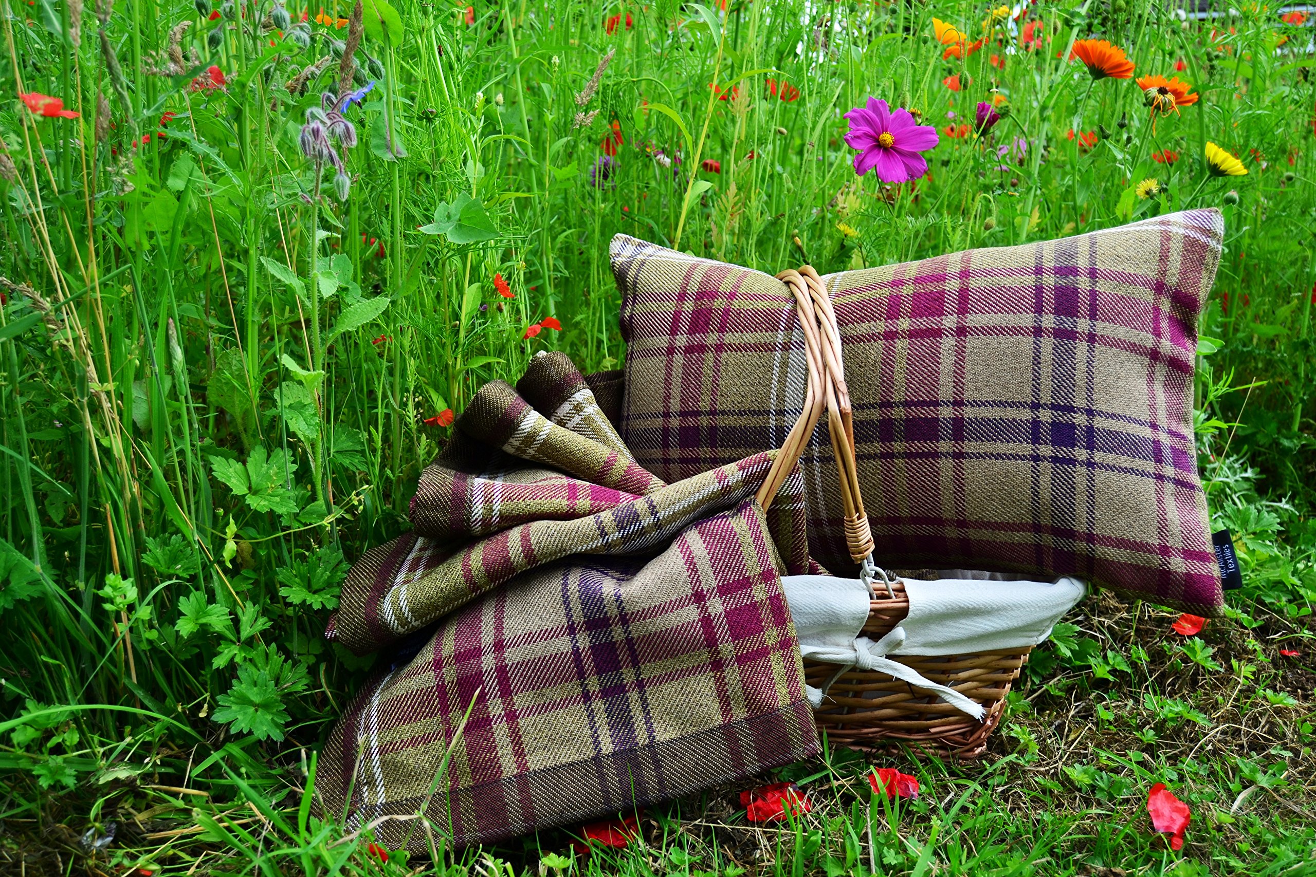 McAlister Textiles Angus Tartan geruite kussen met vulling inbegrepen luxe decoratieve spreiding sierkussen voor thuis natuurlijk beige 43 x 43 cm - 17 x 17 inch McAlister Textiles Angus Tartan geruite kussen met vulling inbegrepen luxe decoratieve spreiding sierkussen voor thuis natuurlijk beige 43 x 43 cm - 17 x 17 inch
