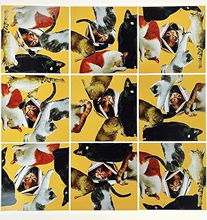 Scramble Squares Cat 9 Piece Challenging Puzzle - Ultimate Brain Teaser and Mind Game for Young and Senior Alike - Engaging and Creative With Beautiful Artwork - By B.Dazzle