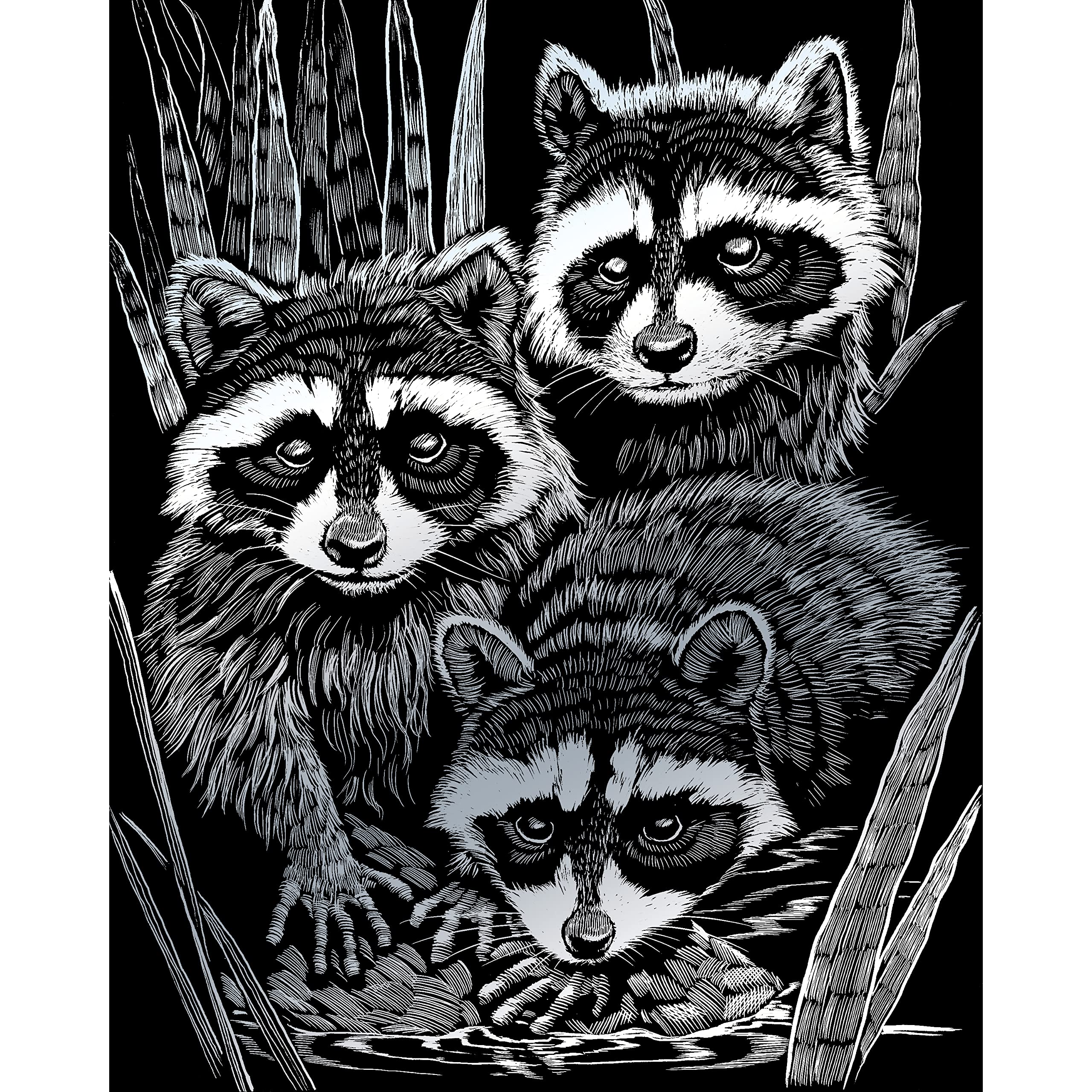 Pracht Creatives Hobby 4674-20131 Scratch Painting kit, Raccoons