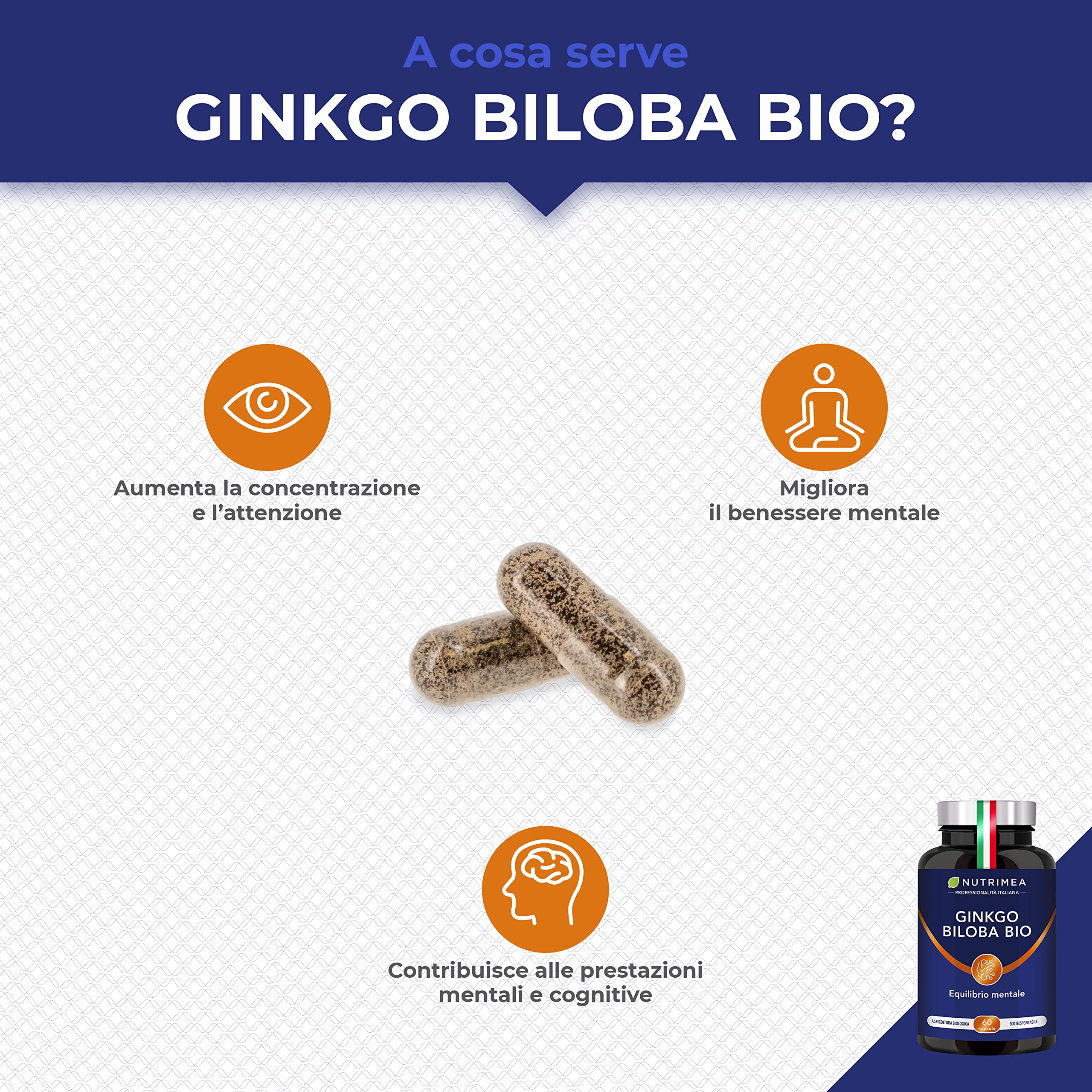 Ginkgo Biloba Biologico | Integratore per Memoria e Concentrazione | Aumenta le Prestazioni Cerebrali | Con Salvia Biologica