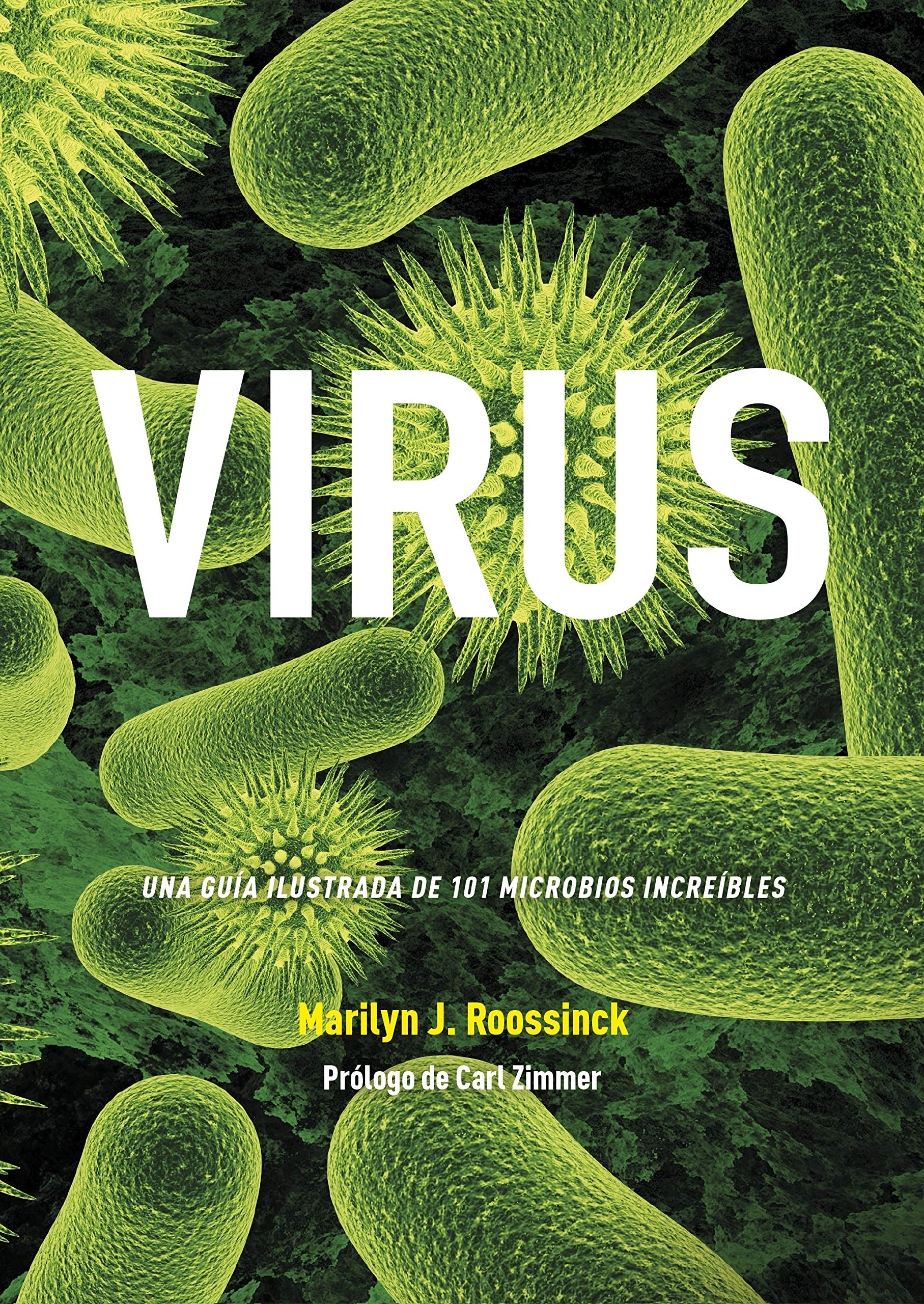 Virus. Una Guía Ilustrada De 101 Microbios Increíbles: 35 (Grandes temas)