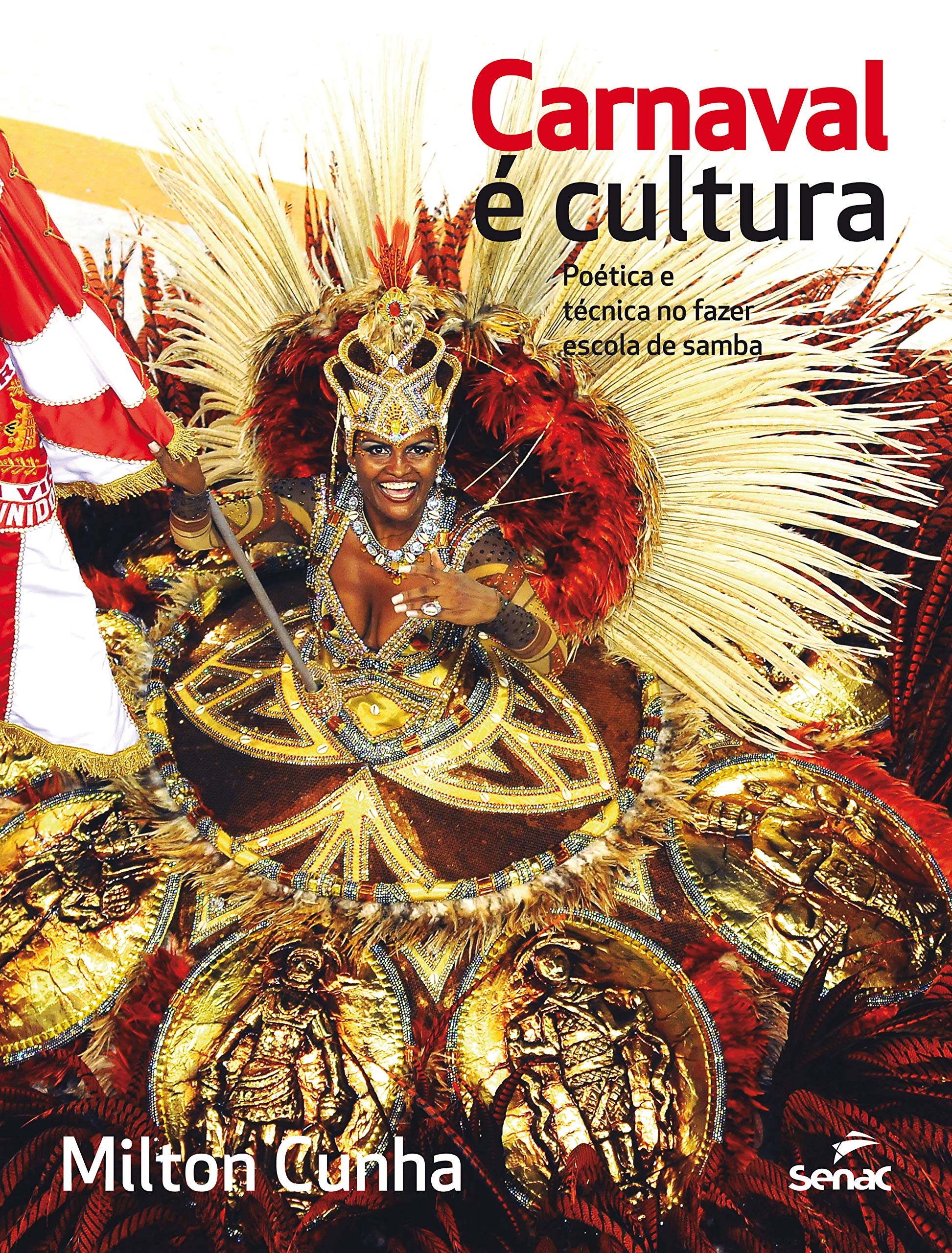 Carnaval e Cultura. Poética e Técnica no Fazer Escola de Samba (Em Portuguese do Brasil) [Hardcover] Milton Cunha