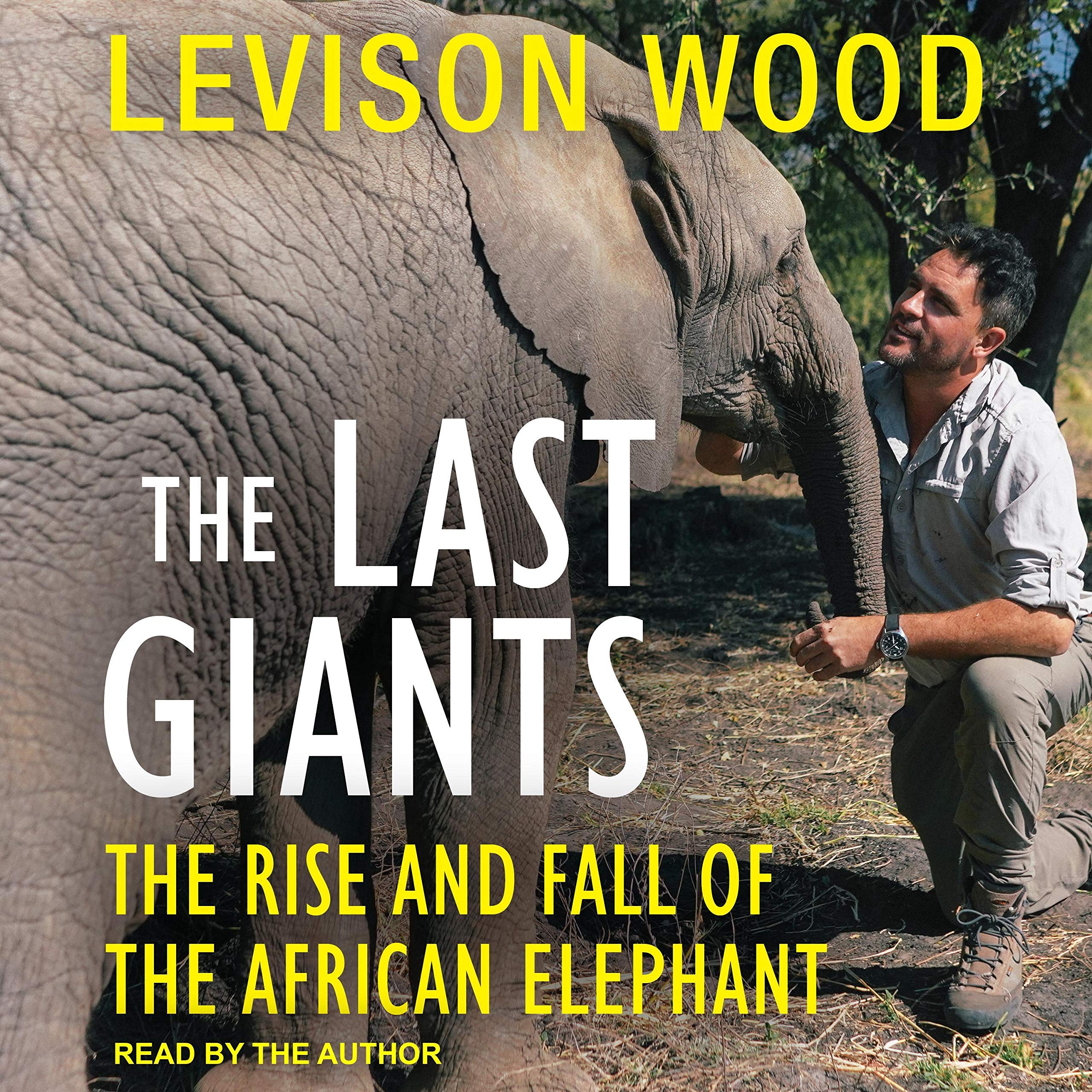 Cover art for The Last Giants