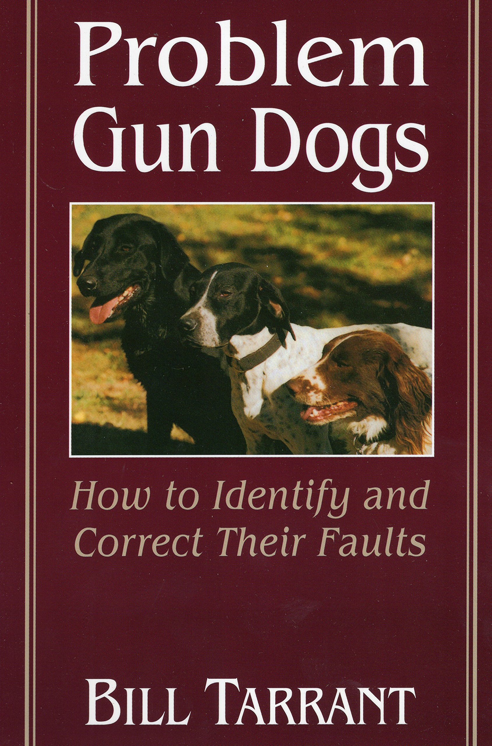 Problem Gun Dogs: How to Identify and Correct Their Faults