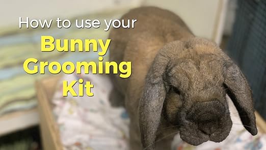rabbit grooming kit