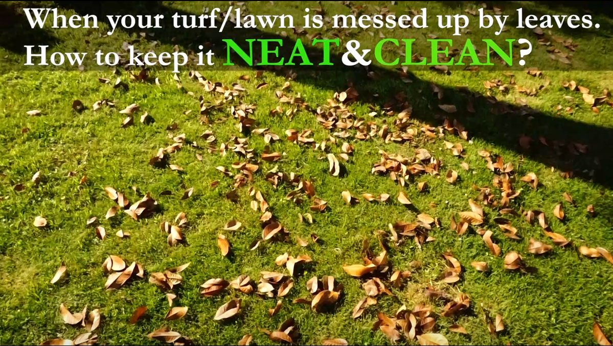 Rastrello Per Erba Artificiale Easylife - Spazzola Per Prato Finto, Lunghezza Regolabile 110-150 Cm | Rimuove Muschio E Detriti - Foto 2