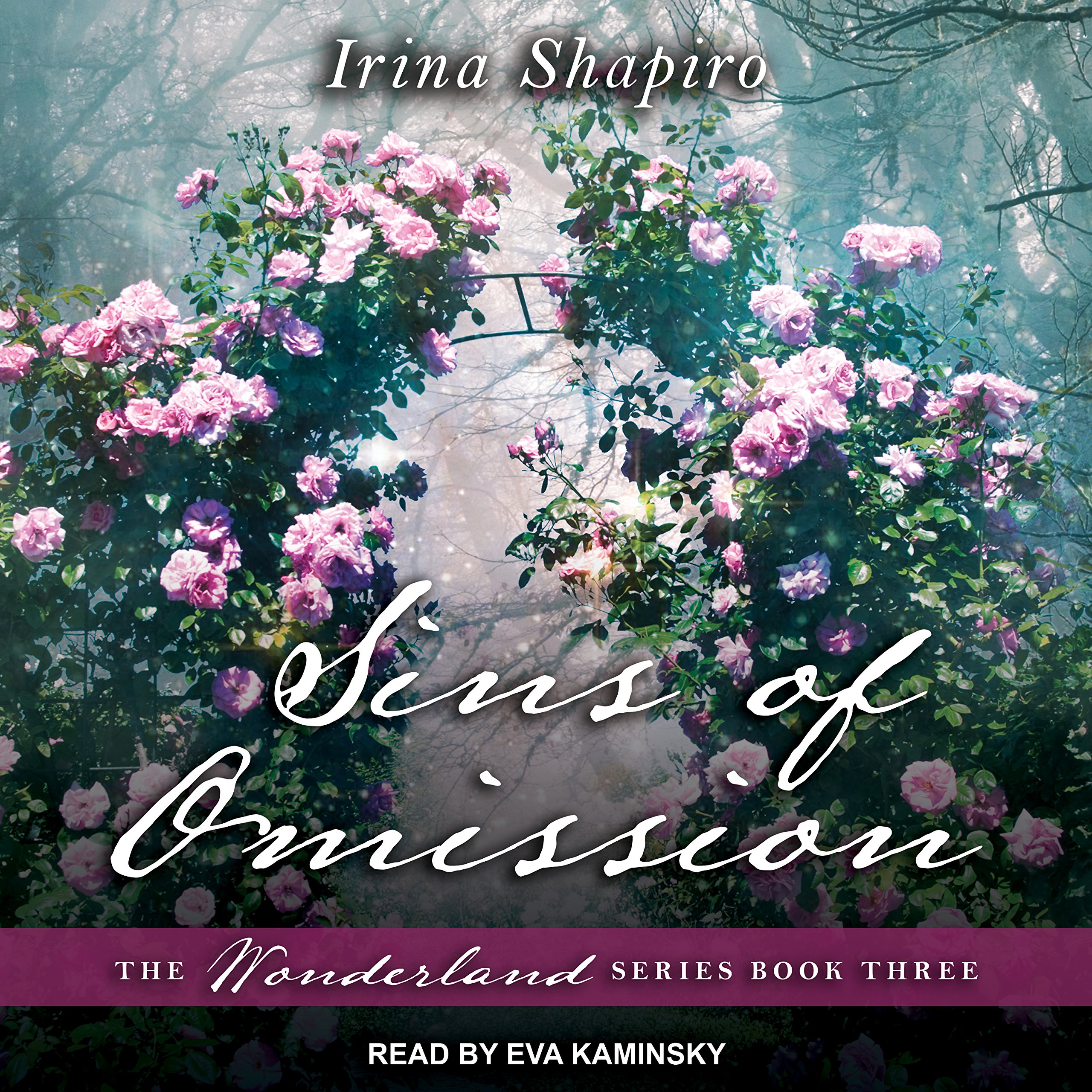 Cover art for Sins of Omission