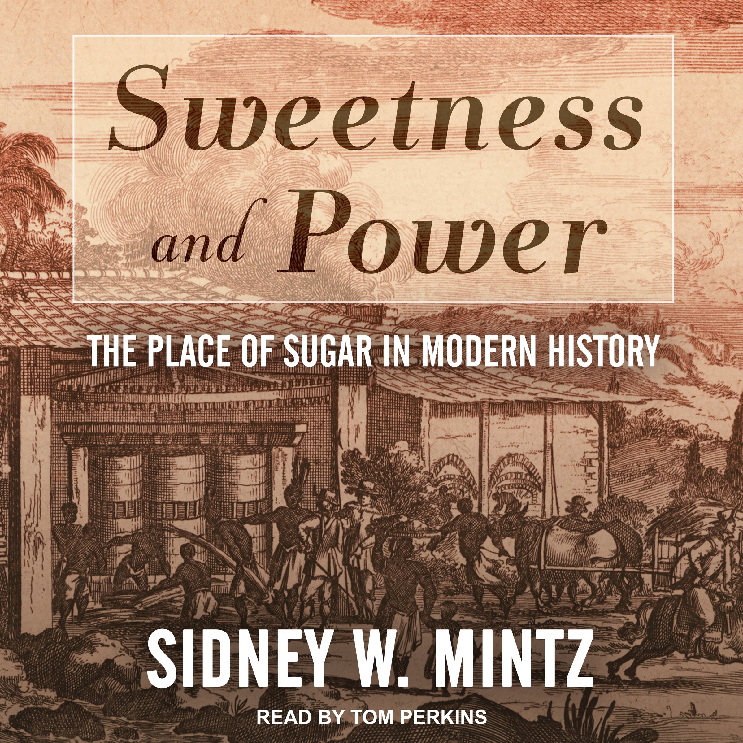 Cover art for Sweetness and Power