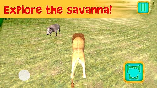 African Lion Simulator 3D | African Hunting Jungle Adventure Survival Evolution Lion Simulator 3D - Thumbnail 4