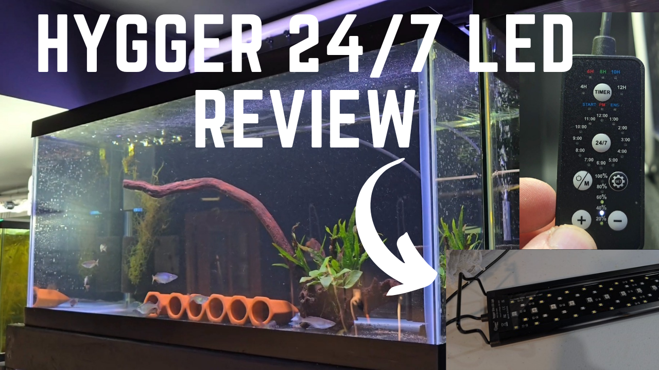 Watch Is it Worth the Money? Hygger 24/7 LED Aquarium Light Review on ...