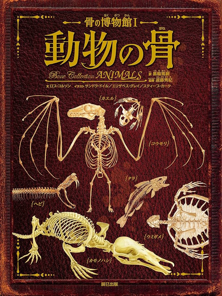 詳細不明です。動物の骨だと思います。商品説明必読お願い致します。 詳細不明です。動物の骨だと思います。商品説明必読お願い致します。