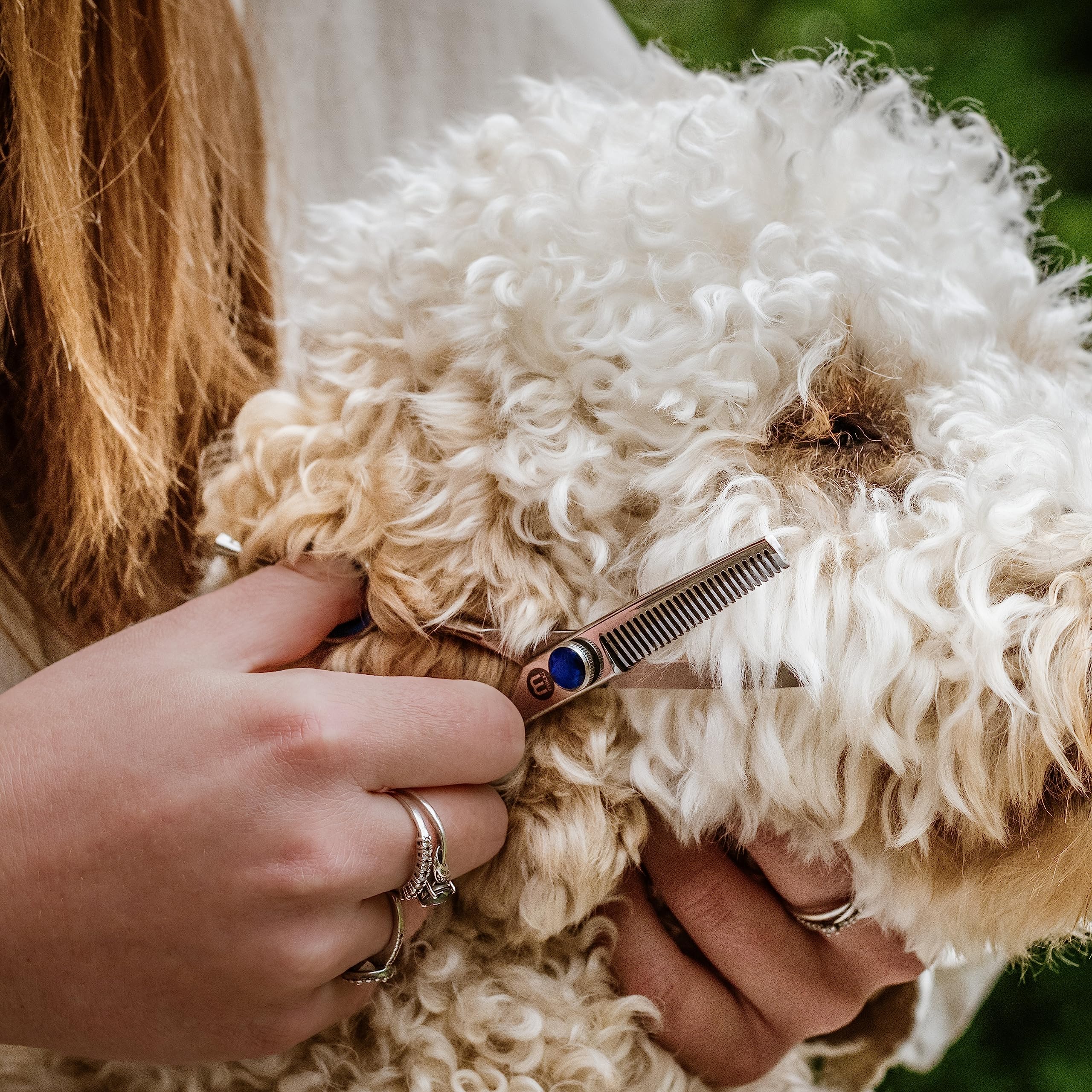 Mikki Doodle, Hunde- und Welpenschere zum Ausdünnen von Gesicht und Pfoten, scharfe und haltbare halbkonvexe Klinge, V-förmige Zähne, verstellbare Spannschraube für Kontrolle und Präzision, 12,7 cm