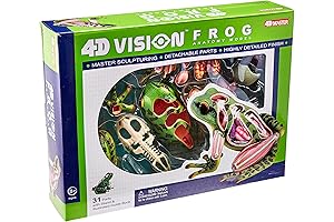 4D Vision Frog Dissection Kit: An Immersive Learning Experience