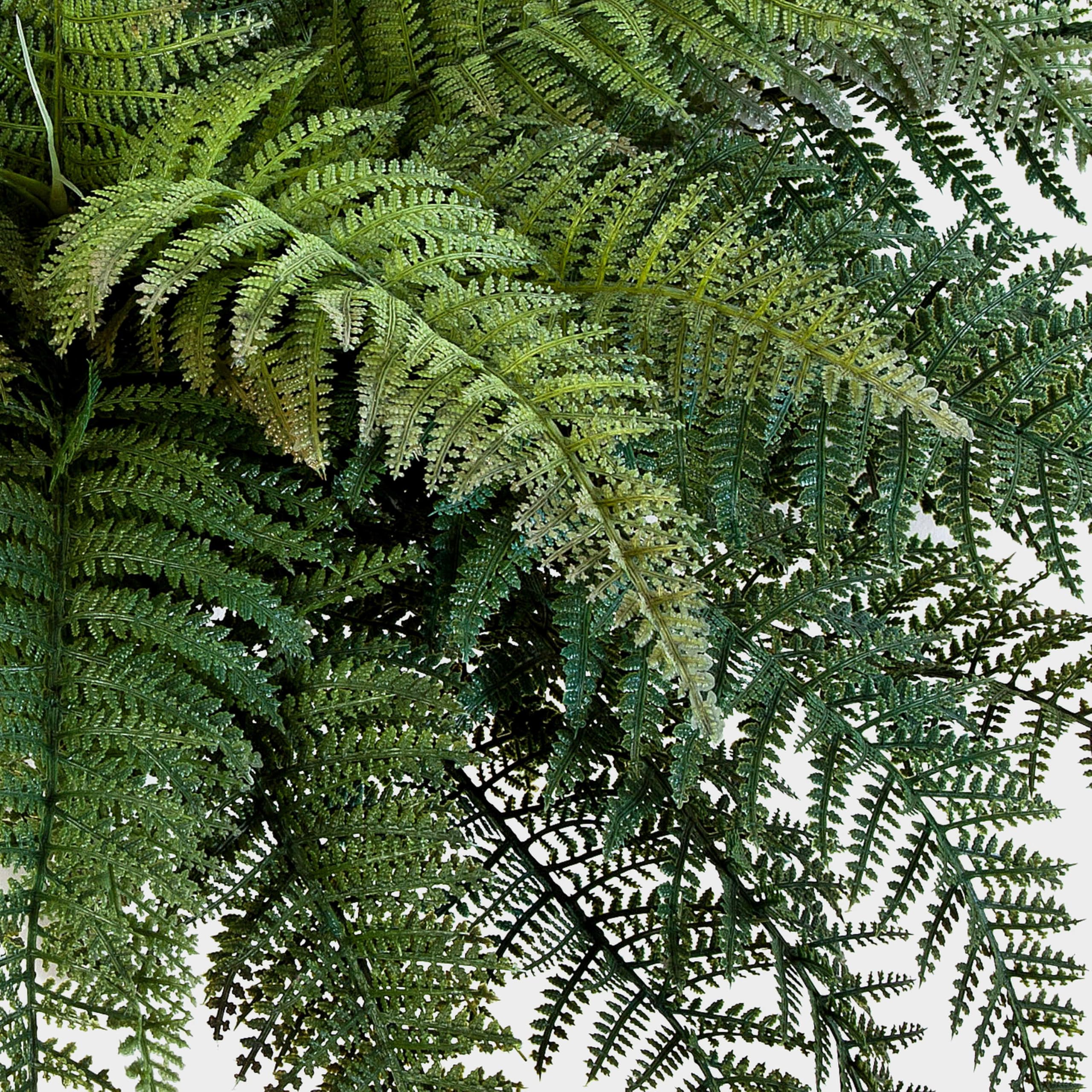 artplants.de Felce Florida Decorativa Aaron, Verde, 50cm, Ø 65cm