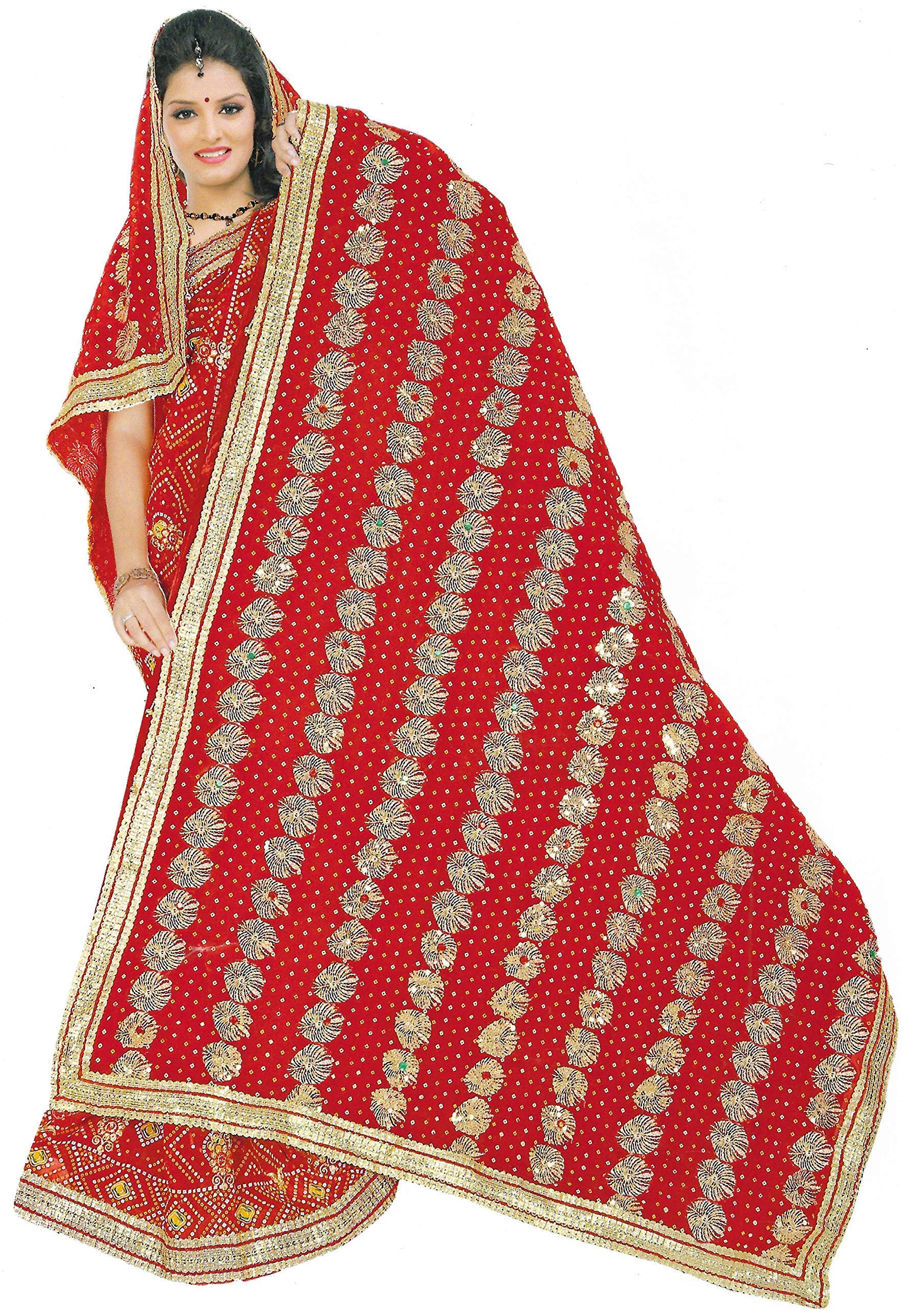 Kedia Imaginations Women's Stone Embroidery Work Red Dupatta/Chunri