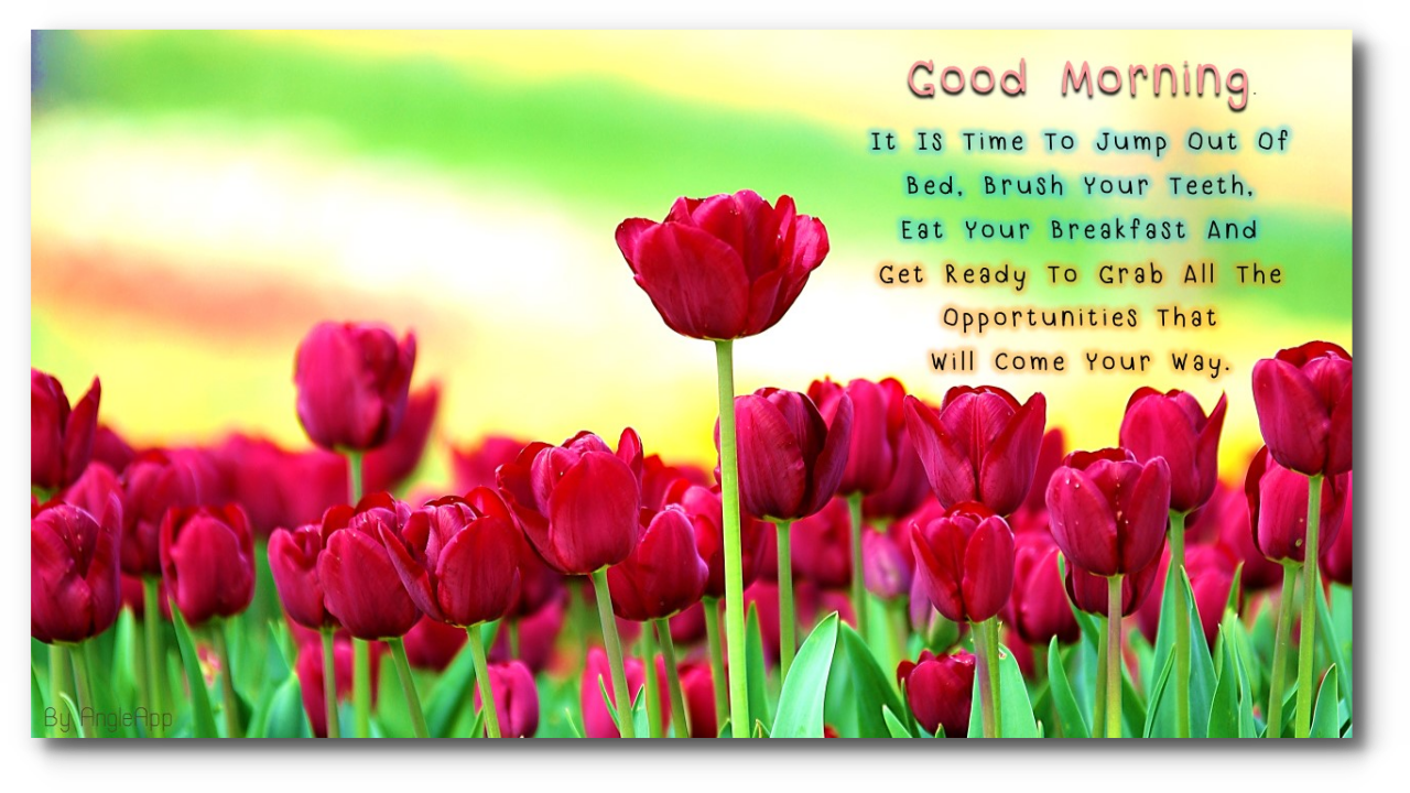 Good Morning Good Night Beautiful Flower Amazon Co Uk Appstore For Android