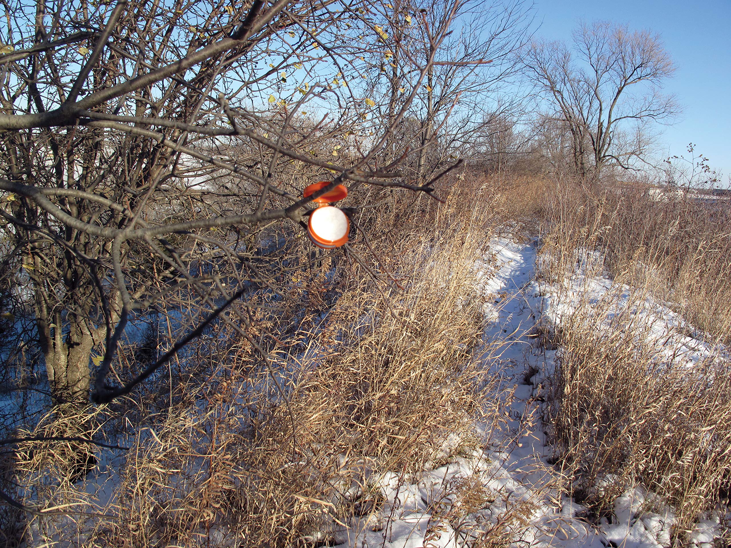 X-Stand Treestands Quick Clip Scent Disk Dispenser (3 Dispensers/6 Scent Disks) Black