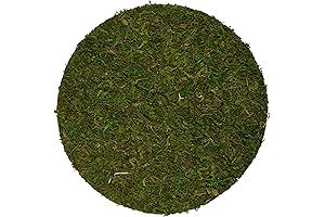 Moss Soil Toppers (Place Mats), Fresh Green, 10" (3 units)