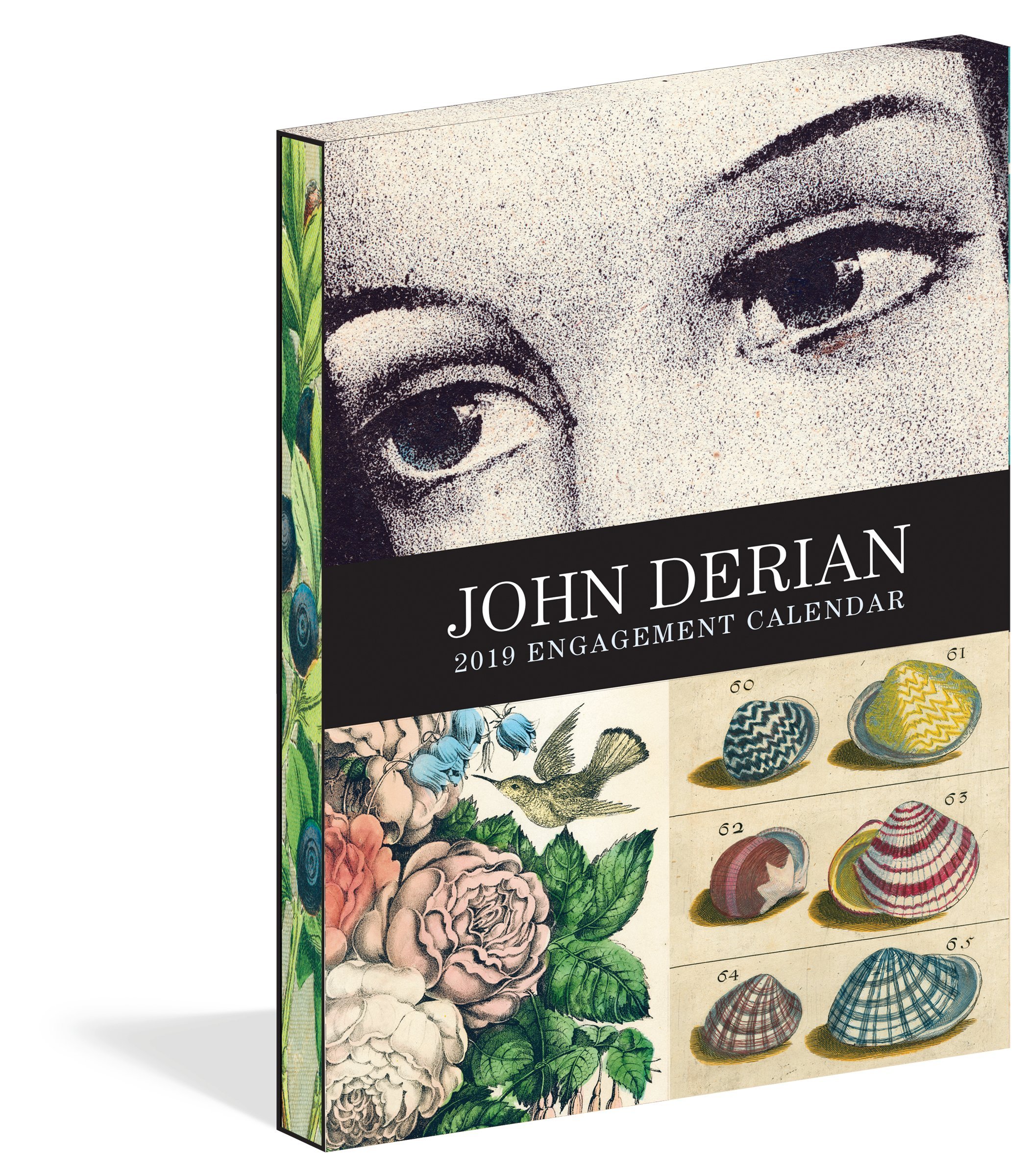 Amazon.co.jp: John Derian: 本、バイオグラフィー、最新アップデート