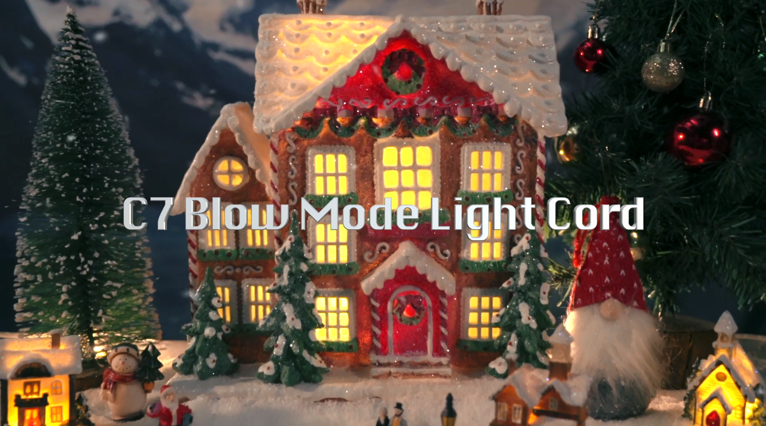 Meonum 12 LED Bulbs Accessory Extension Cord, End to End