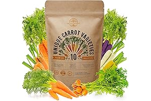 10 Carrot Seeds Variety for Planting in Home Garden