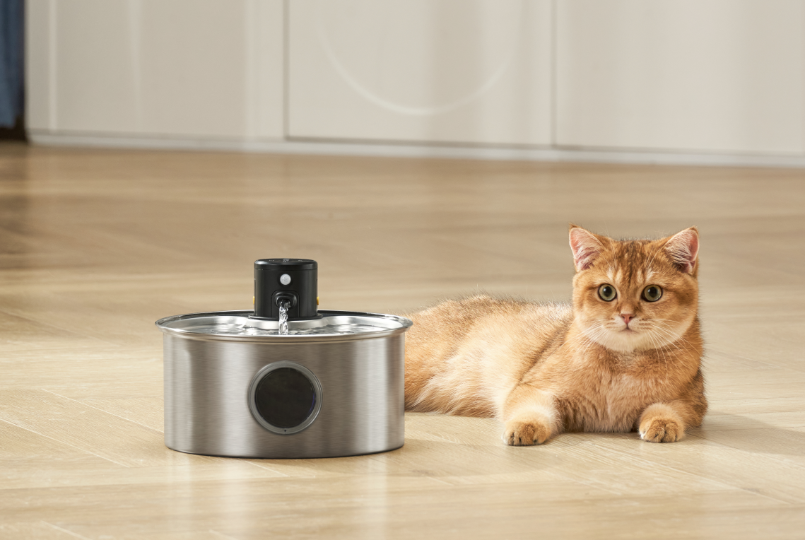 Amazon.com : Cat Water Fountain Battery Powered: Cordless Cat Fountain  Wireless - Rechargeable Pet Water Fountain Stainless Steel - 108oz/3.2L  Automatic Kitty Water Fountain with Motion Sensor - 9 Filters : Pet Supplies