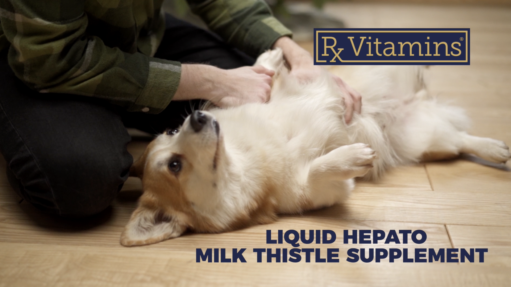Amazon.com : Rx Vitamins Liquid Hepato - Liquid Liver Support