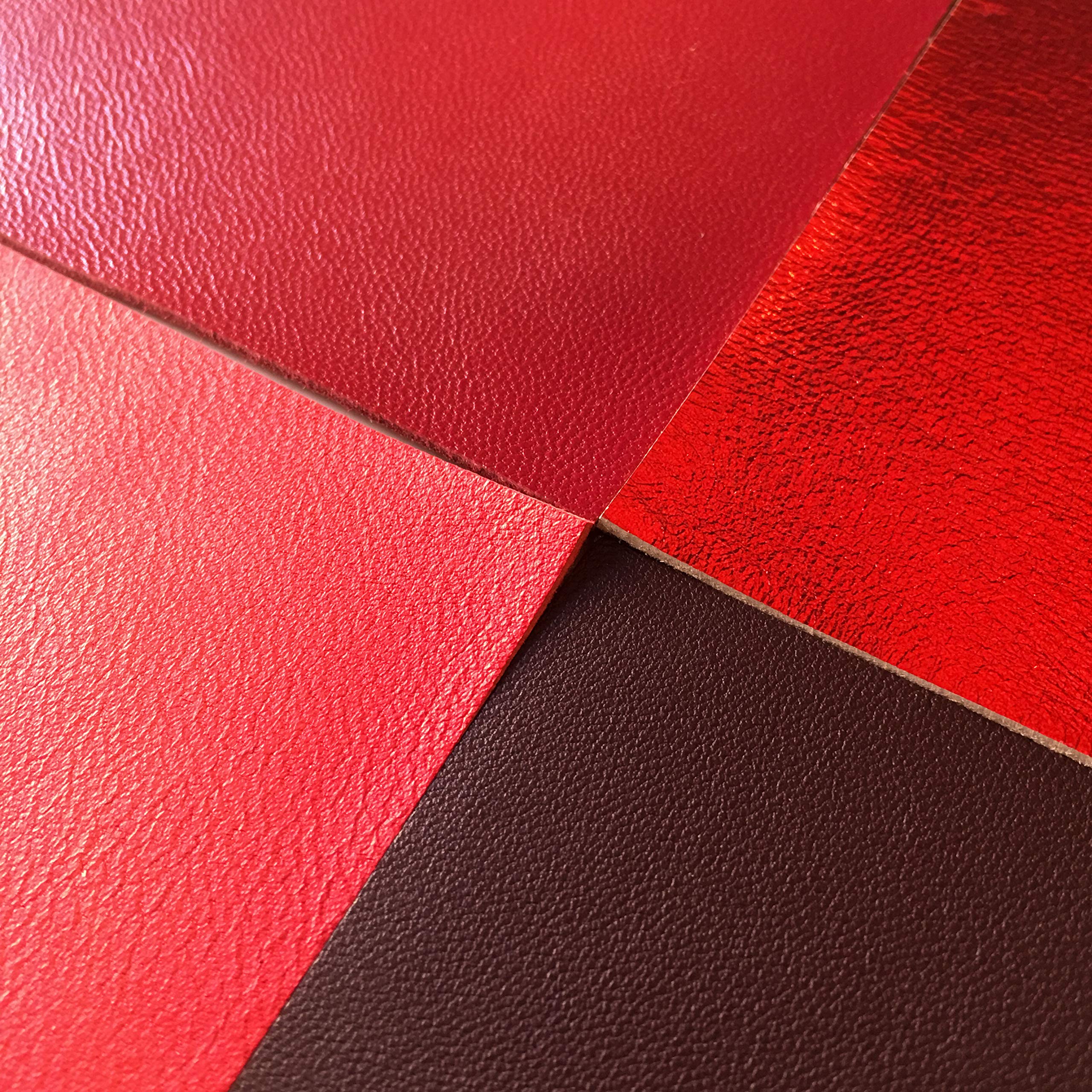 Juego de piel familiar (rojo, 12 x 12 cm)