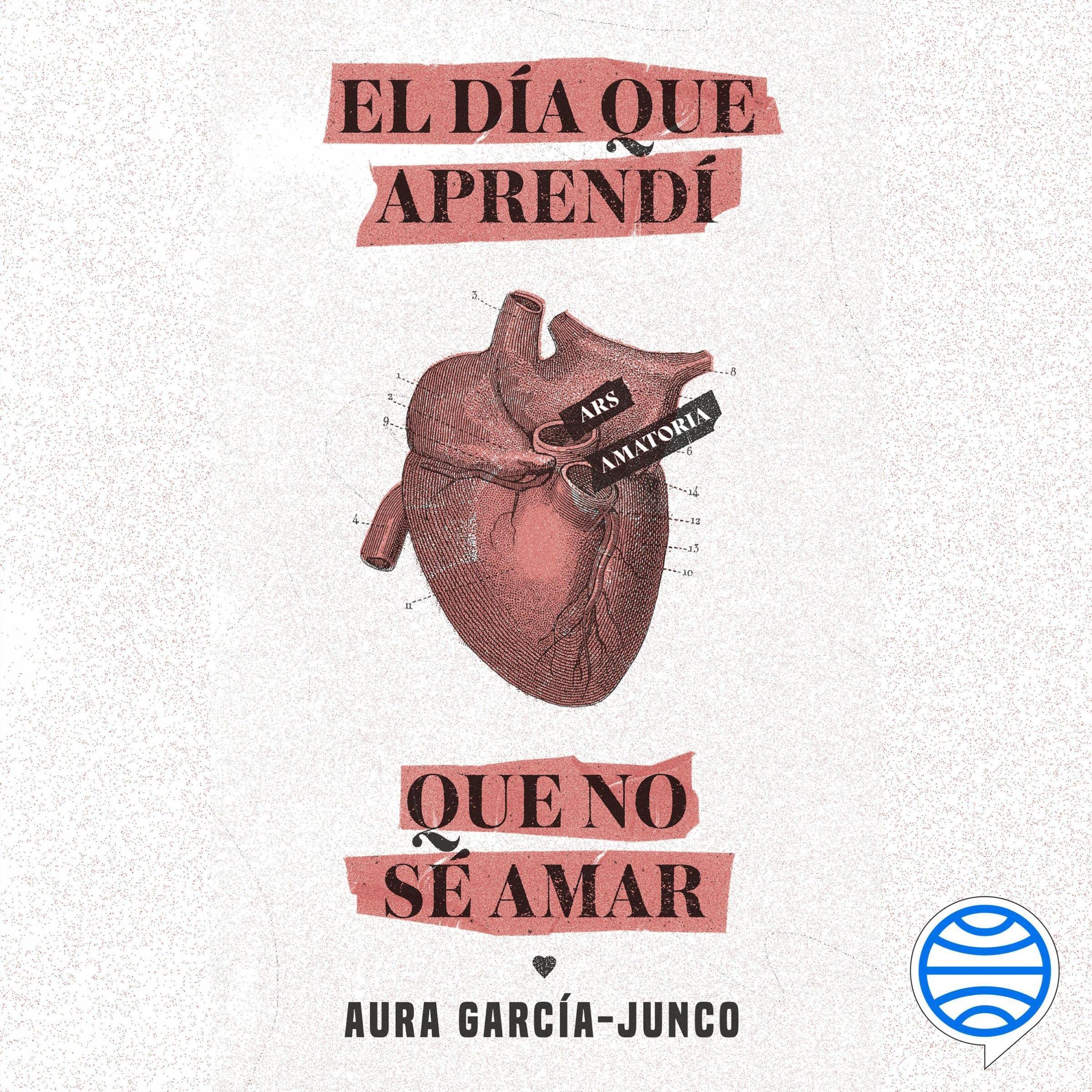 Cover art for El día que aprendí que no sé amar