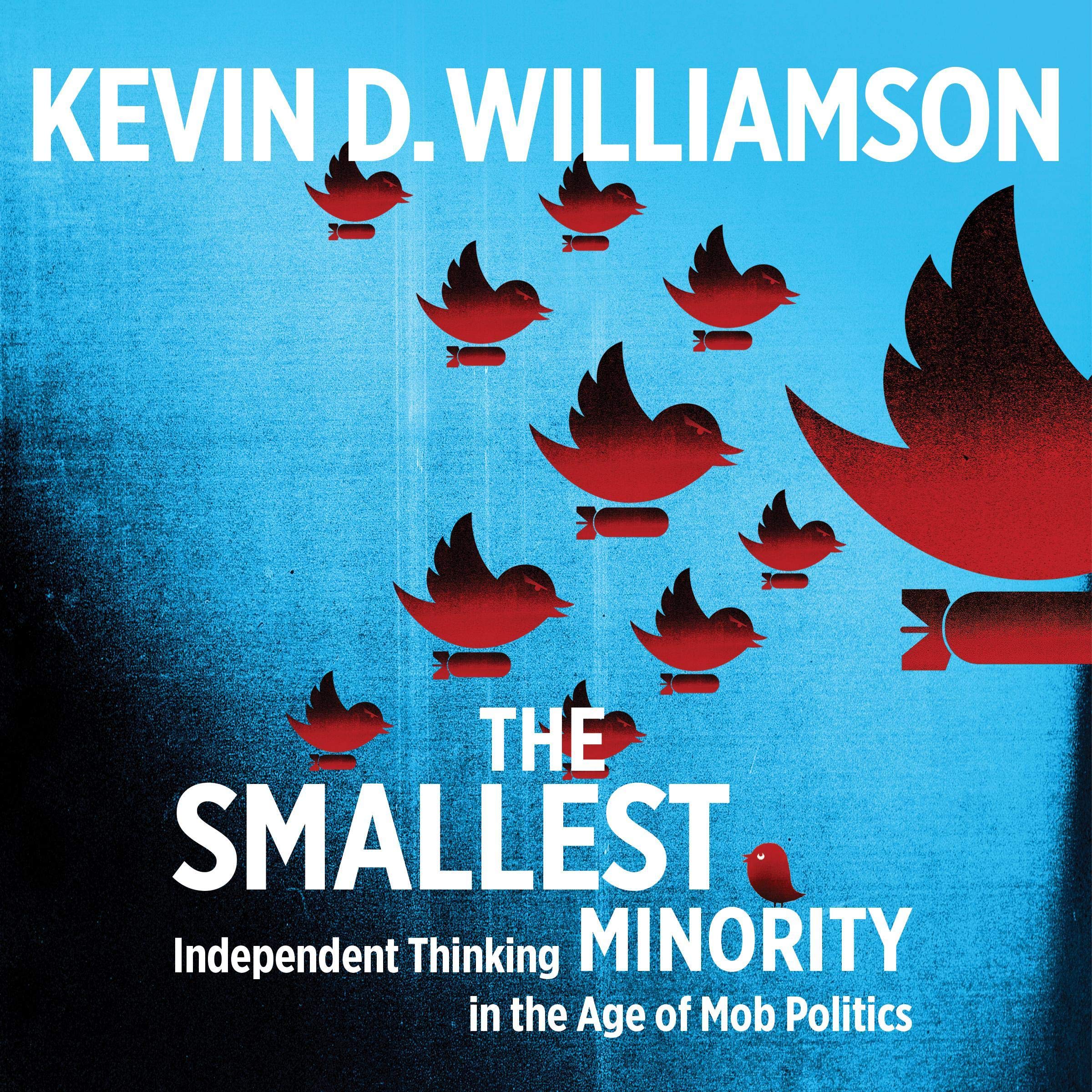 Cover art for The Smallest Minority