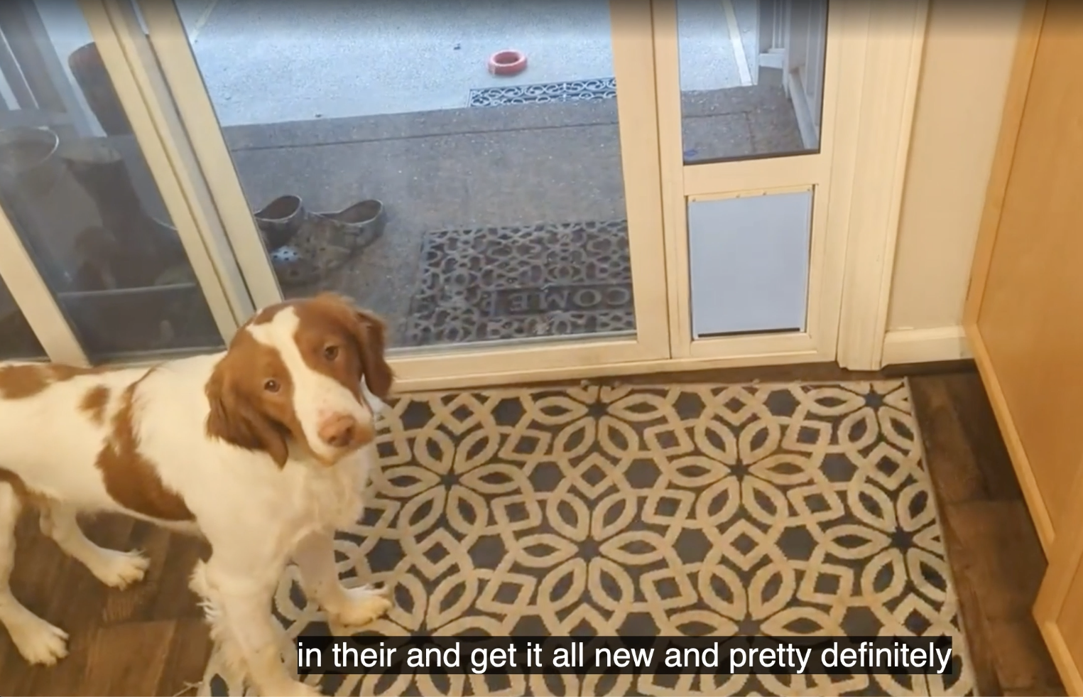 Amazon.com : Best Pet Flap Large Replacement Dog Door Non PVC Flap