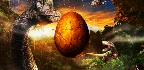 Ovos de dinossauro 13