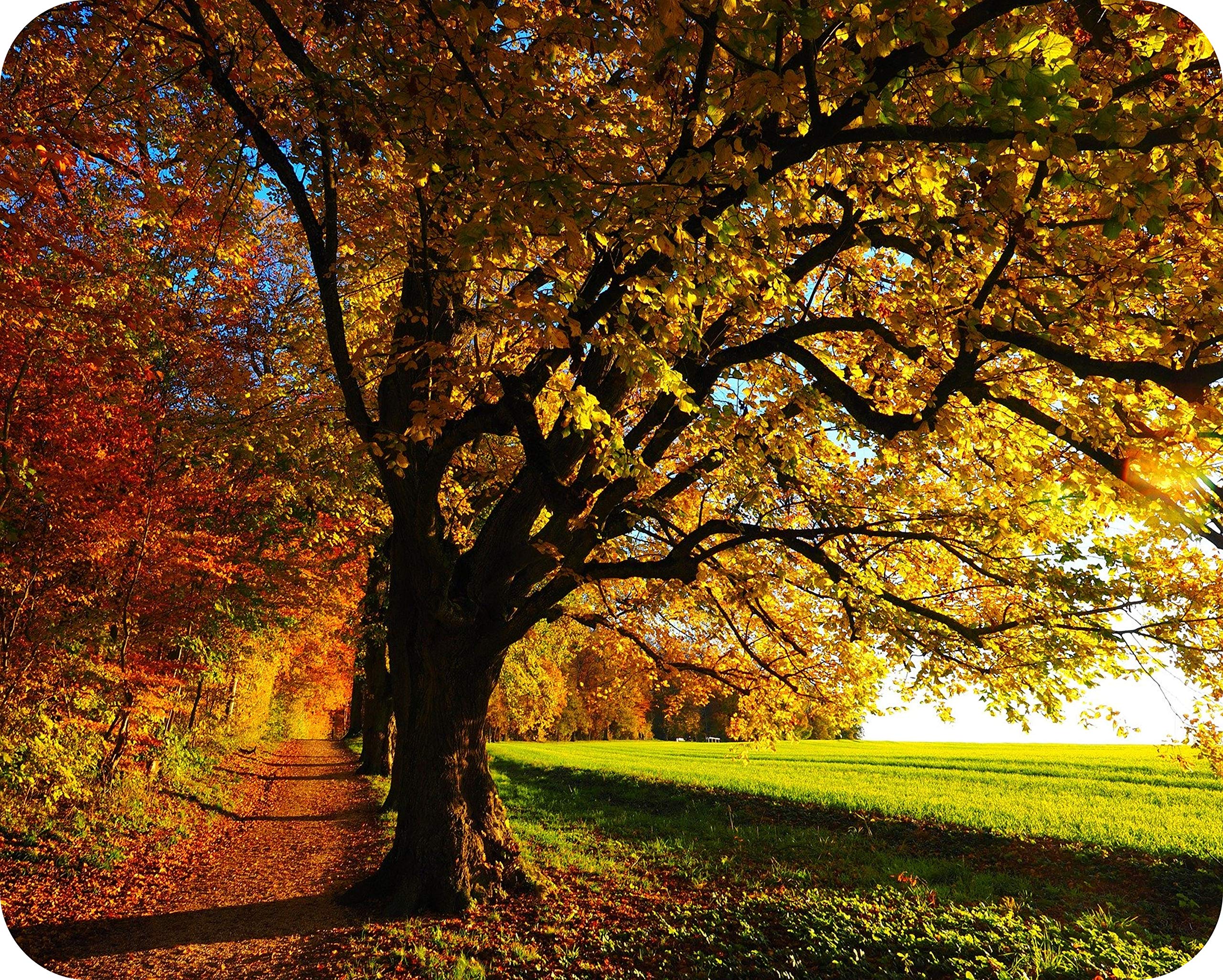 Premium Glass Worktop Saver- Kitchen Worktop Protector with Autumn Design- Tempered Glass Chopping Cutting Board for Food Prep Baking Pastry - by Pearl Glass (50 x 40cm Large)