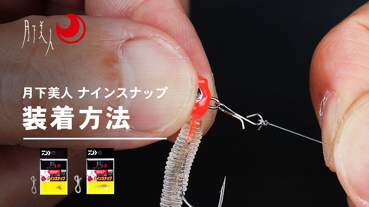 Amazon | ダイワ(DAIWA) 月下美人 ナインスナップ T(タフ) 徳用 (× 2