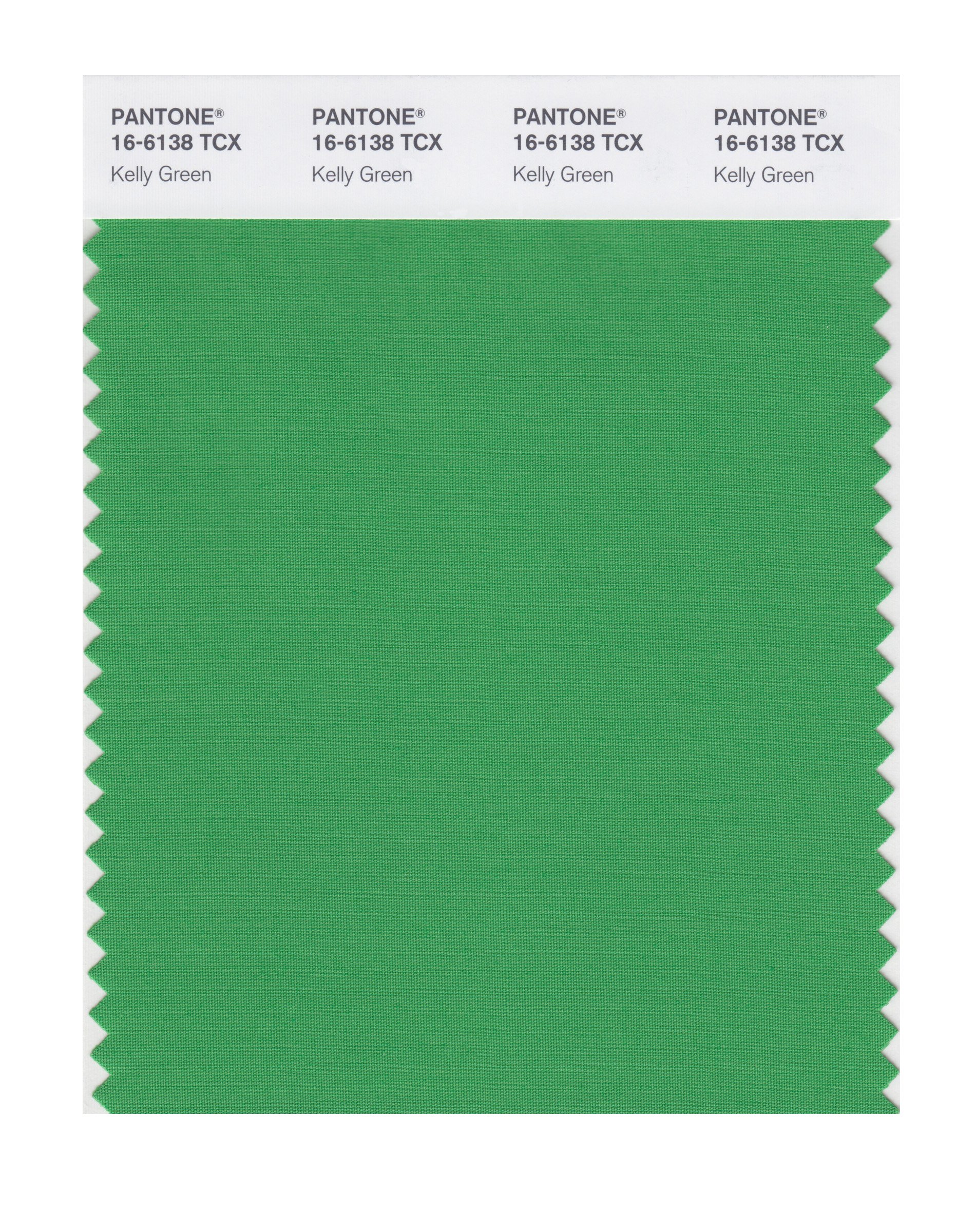 PANTONE Smart 16-6138X Color Swatch Card, Kelly Green - House