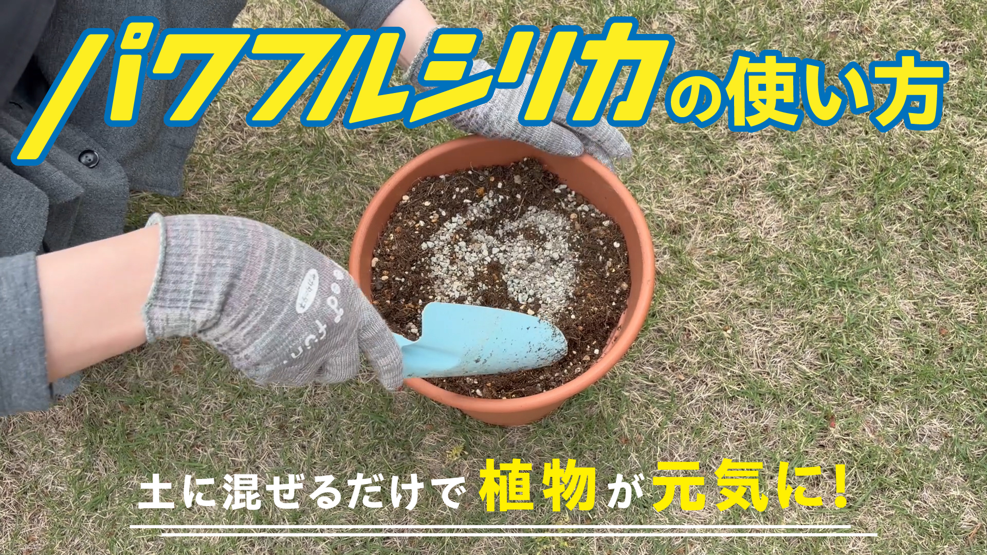 Amazon | サカタのタネ パワフルシリカ 1kg【土壌改良材】 | 用土