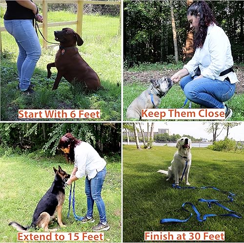 Miniatura 7 de Olive Paws Correa para perro de 30 pies  Perros pequeños, medianos, grandes  Juego de correa de entrenamiento para perros  Herramientas de