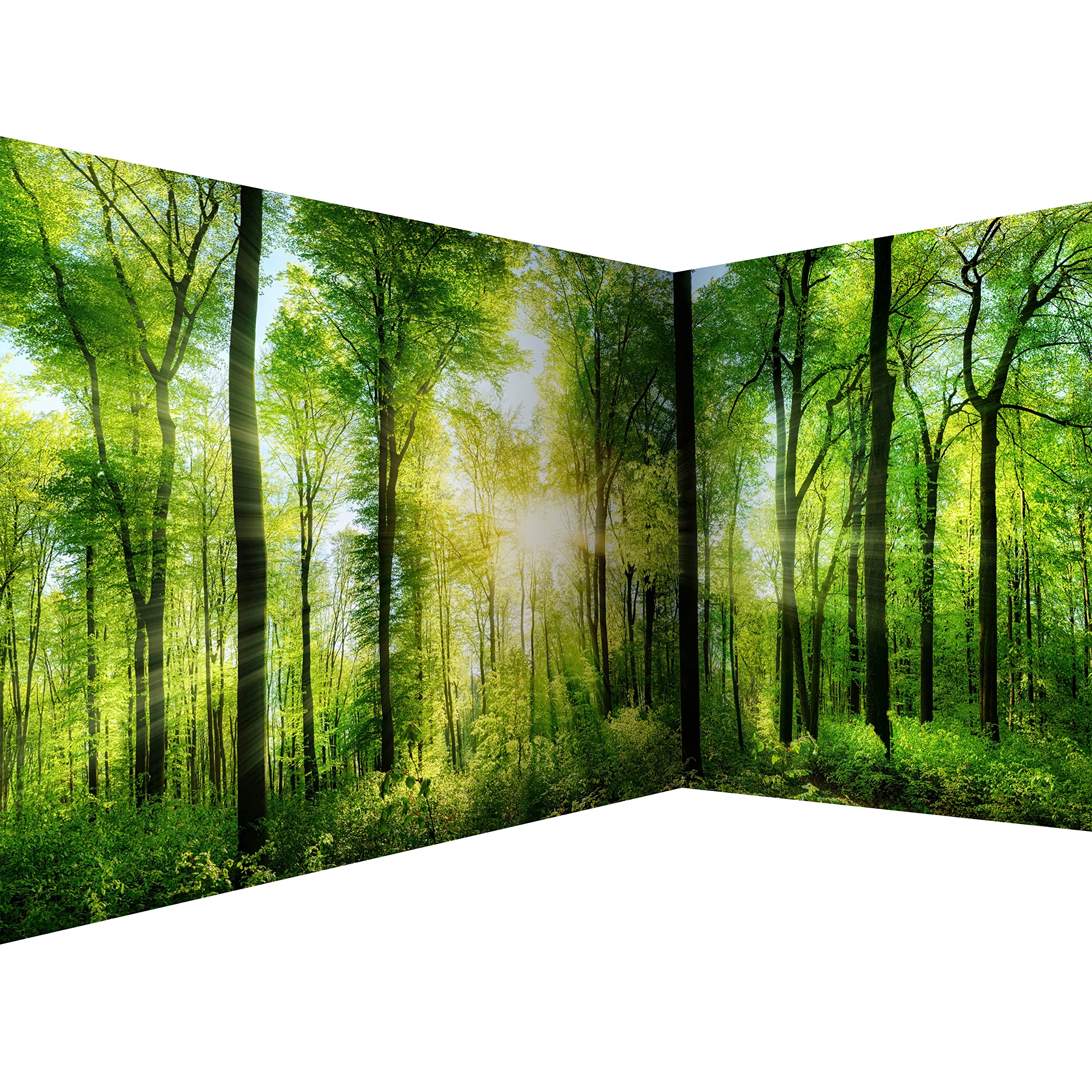 murando - Photo Wallpaper Forest 539x250 cm / 212" x 98" - Peel and Stick Self-Adhesive Corner Foil Print Wall Mural Wallpaper - Landscape Nature Green Tree Panorama Sunlight c-A-0058-a-b — image 1