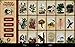 Tarot Madame Lenormand HD