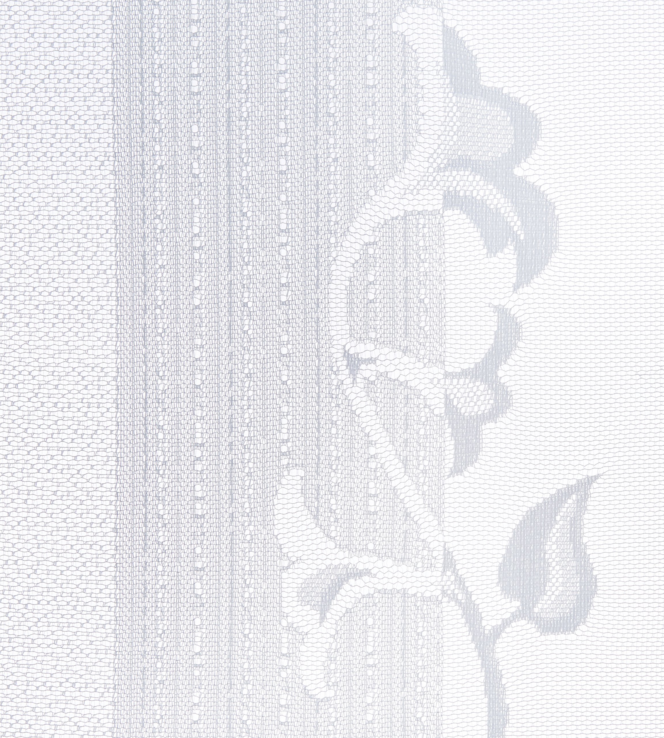 Anna Cortina 8861793LB Voilage Long avec Barre lestée de Plomb Motif Jacquard 260x750 Blanc