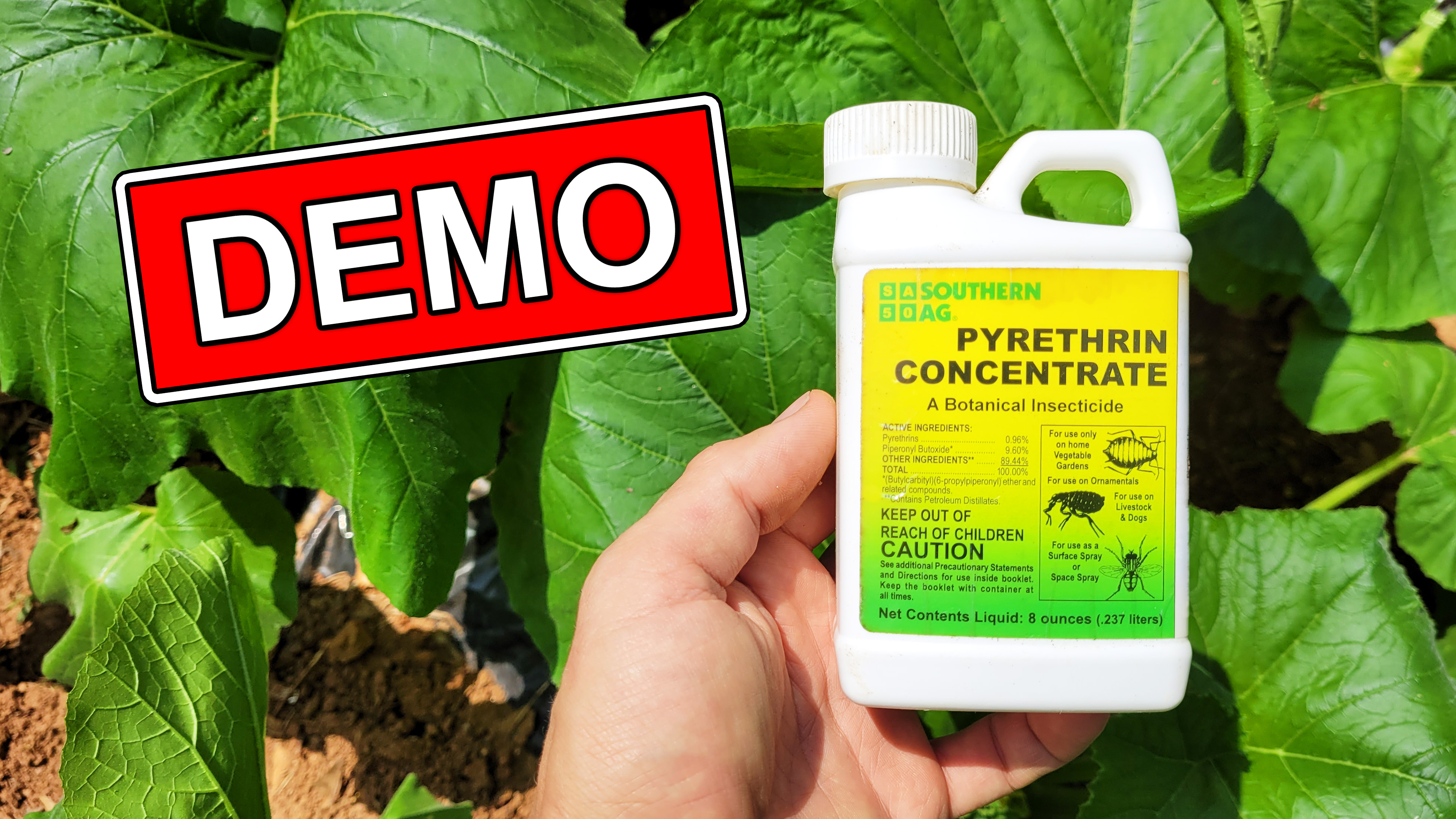 Pyrethran Watch Southern Ag Pyrethrin Concentrate Insect Control on Amazon Live