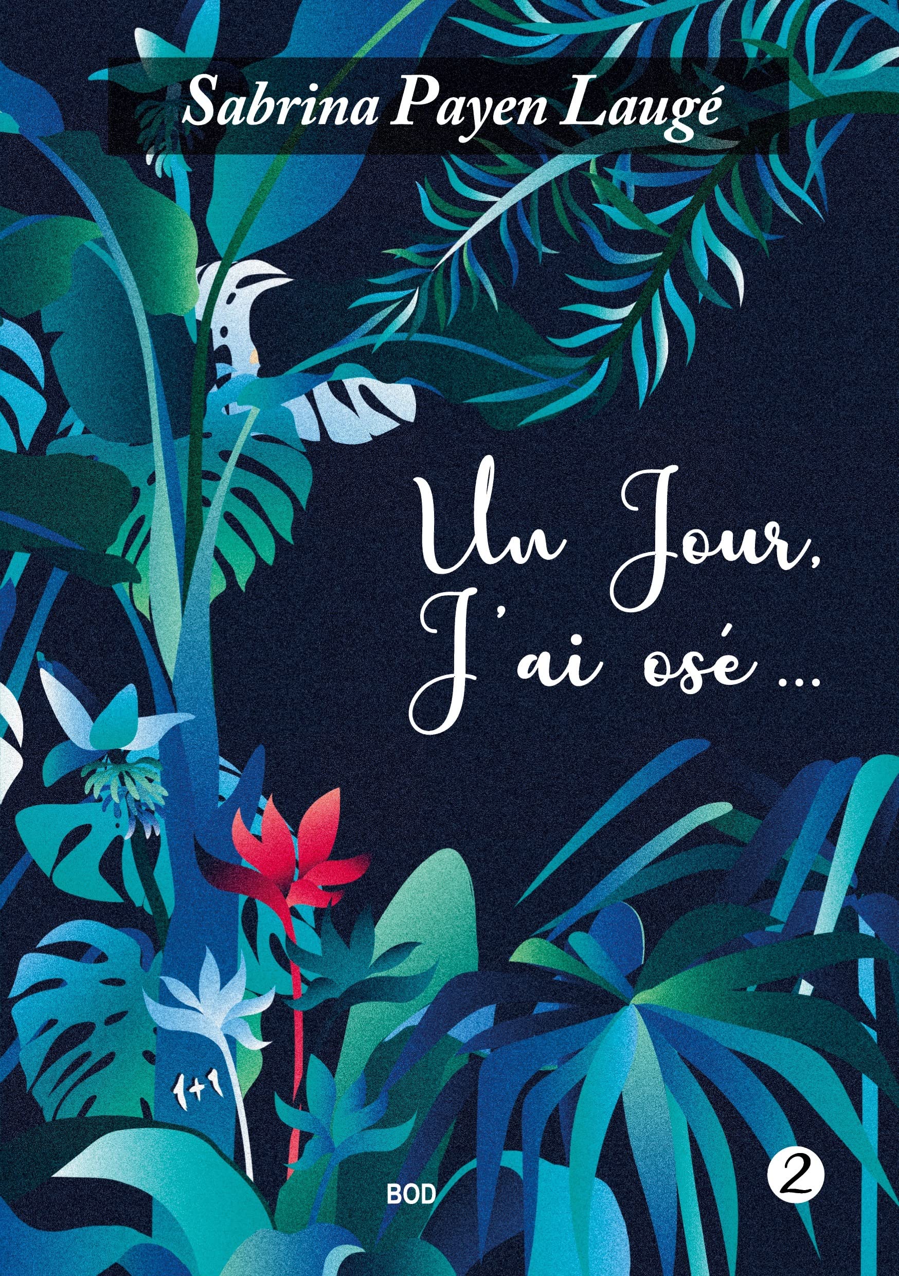 Un jour, j'ai osé 2