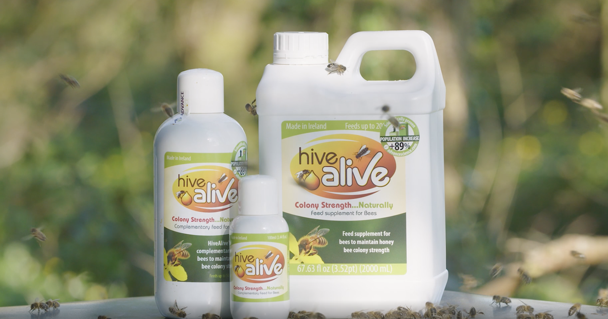 HIVE ALIVE Fondant Bee Complément Alimentaire Abeilles - Vitamines & Acides Aminés Pour Santé Des Colonies