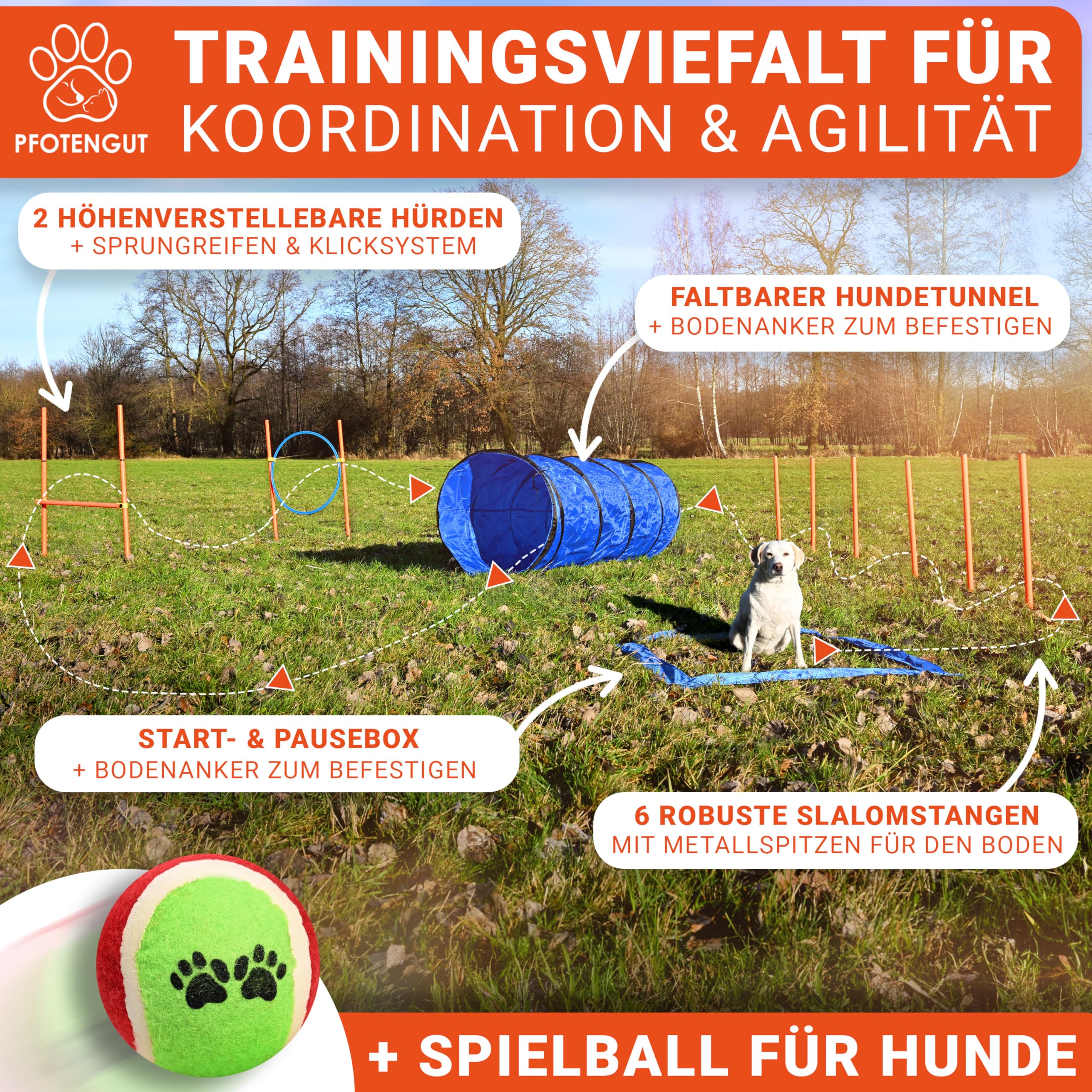 Agility Kit pour chien [11 pièces] – Kit de haies polyvalentes avec tunnel pour chien, slalom, etc. Pour l'entraînement et le sport canin – Avec accessoires et sac de transport