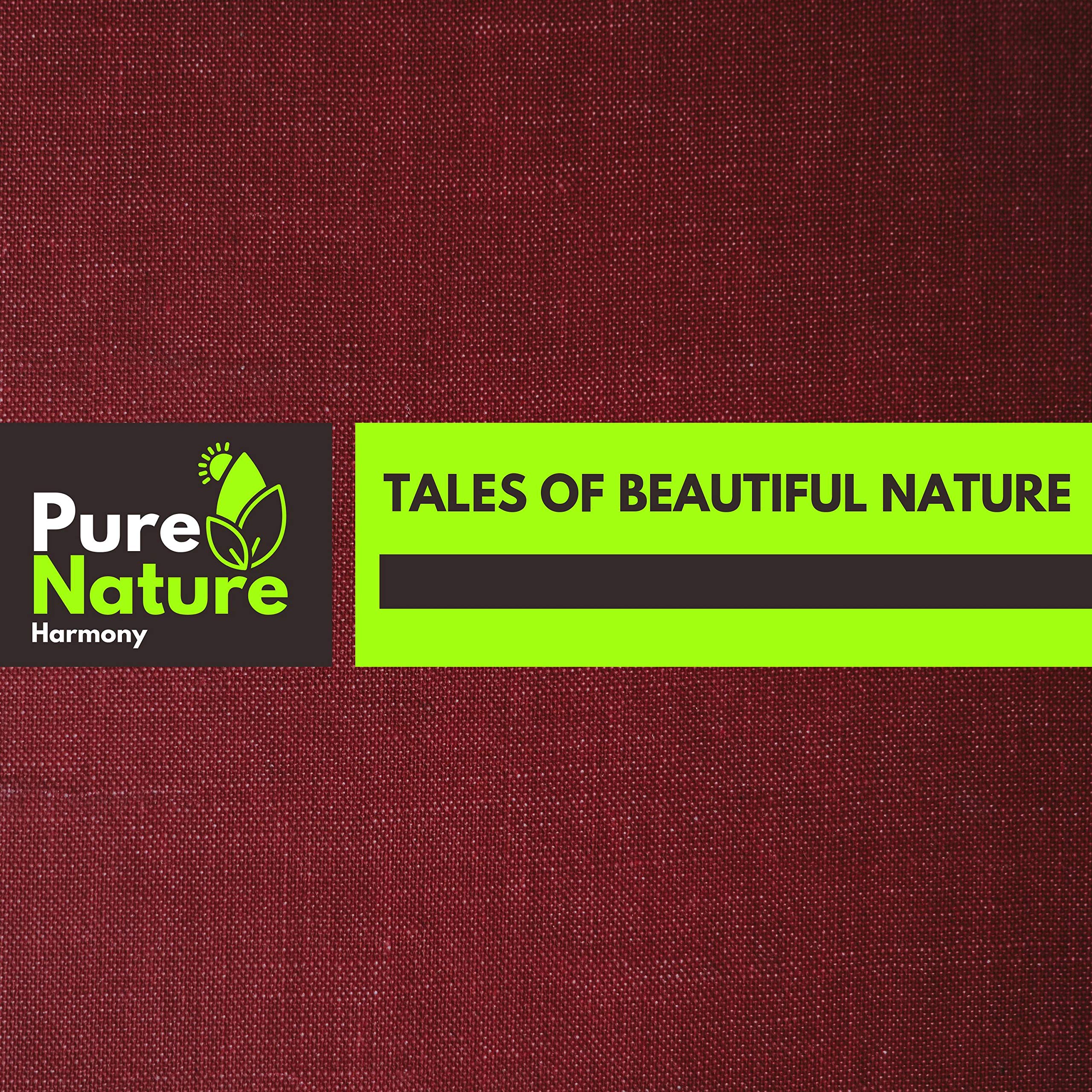 Gomzee Waves Nature Sounds Studio